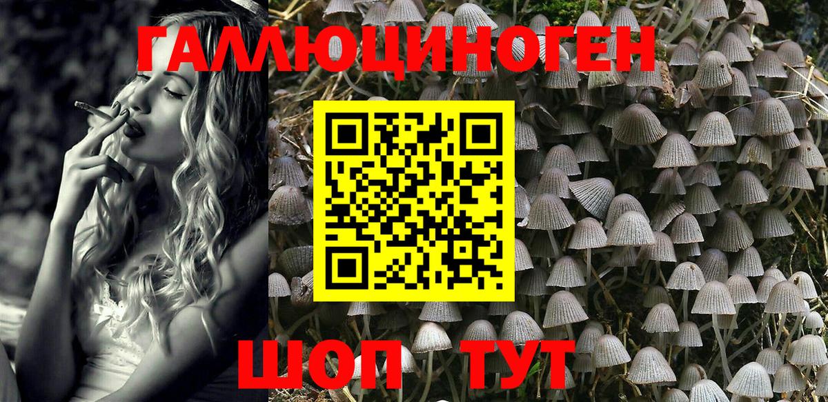 Псилоцибиновые грибы MAGIC MUSHROOMS  Вход с VPN  Спасск-Дальний 